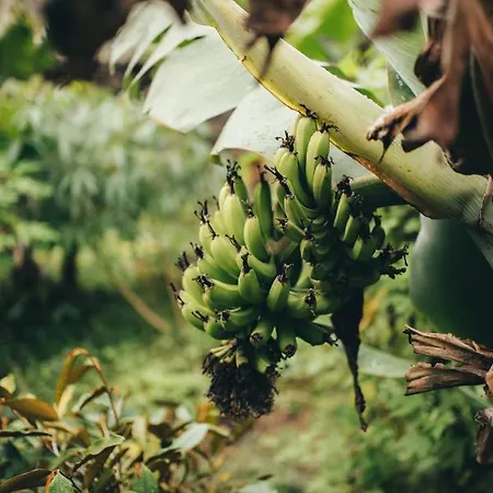 Campismo de Luxo Retiro Atlântico 3*