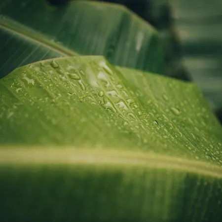 Campismo de Luxo Retiro Atlântico 3*