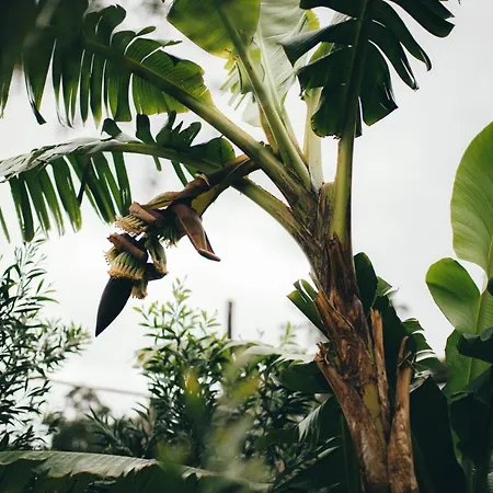 Retiro Atlantico Роскошный шатер 3*