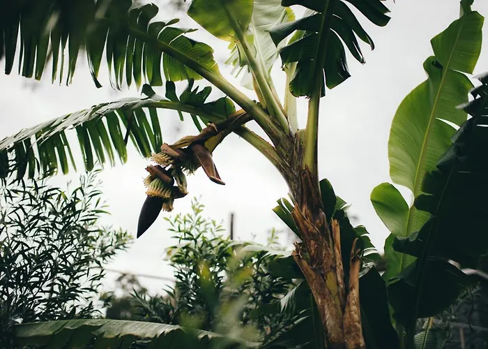 Retiro Atlantico Luxury tent 3*